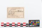 Etikett zu Bronzearmreif (NHMW-PRAE-024544)